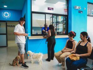 El Municipio de Guayaquil ha realizado cerca de 260 mil servicios veterinarios