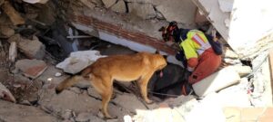 El equipo USAR de Bomberos Quito culmina misión de búsqueda y rescate en Venezuela