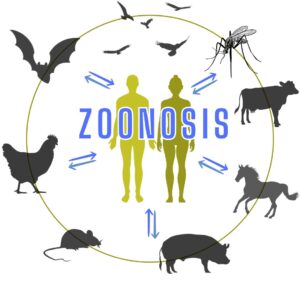 Día Mundial de la Zoonosis