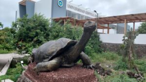 Sede Galápagos de la Universidad Central cuenta con la nueva carrera de Biología Marina