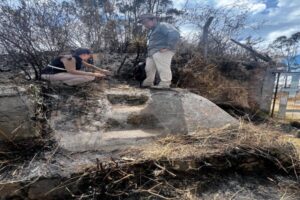 Se descubren rasgos arqueológicos en el Casitagua
