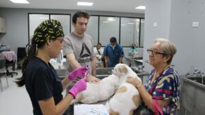 ProAnimal ha aplicado 14.000 vacunas