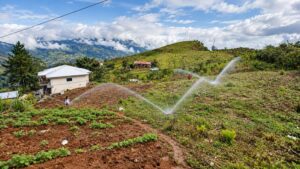 Sistema de riego beneficia a agricultores de Cañar