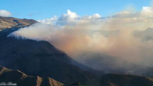45 incendios forestales se registraron en las últimas 24 horas