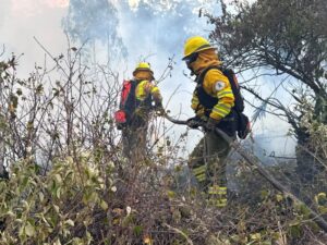Incendio forestal en Mastodontes fue controlado