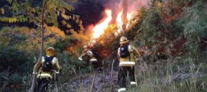Cuatro incendios forestales se registran en Ibarra