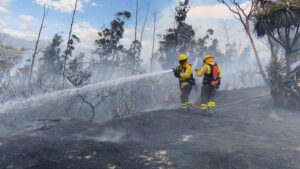 Bomberos Quito controlan incendio forestal en Mastodontes
