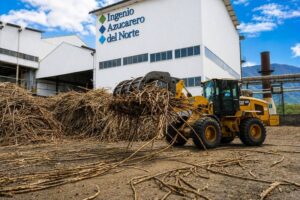 La caña encuentra nuevas formas de generar valor