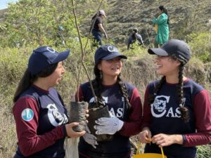 Una jornada de reforestación se cumplió en ocho sectores